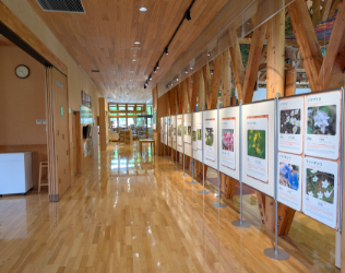 企画展示スペース